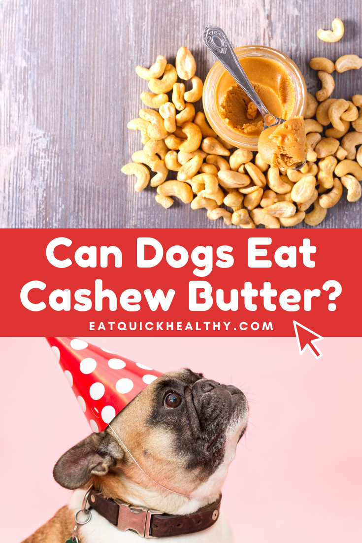 Can Dogs Eat Cashew Butter